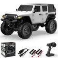 RC Vanguard Light Off-Road Climbing Monster Truck Vehicle
